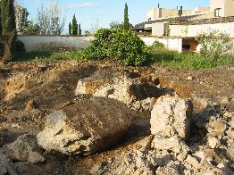 433_varias-046.jpg