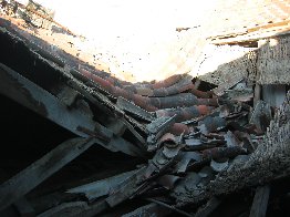 440_varias-092.jpg