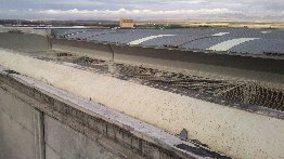 442_DSC_0031.jpg