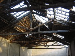 465_varias-062.jpg