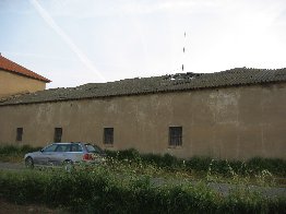 466_varias-065.jpg