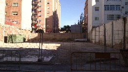 477_DSC_0314.jpg
