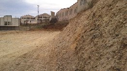 493_DSC_0344.jpg