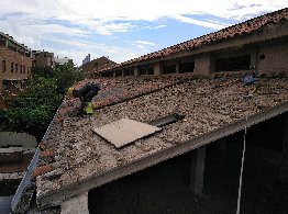 779_IMG_20180912_123100_754.jpg