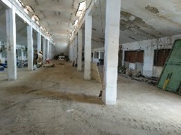 781_IMG_20180904_122528_842.jpg